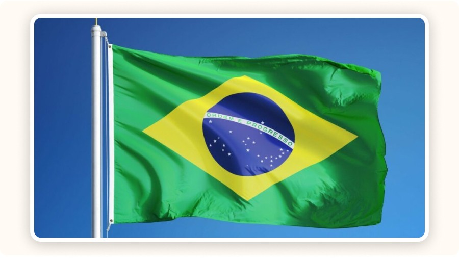 Dropshipping Business Structures in Brazil