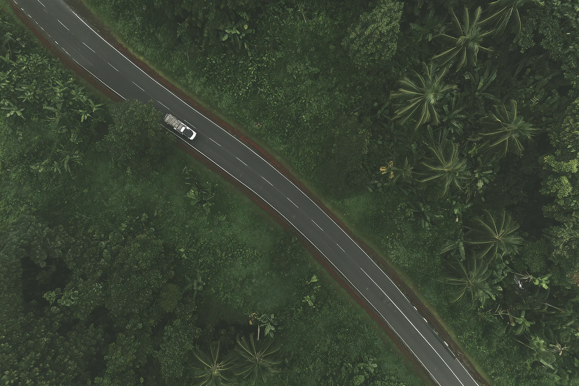 Car driving along a winding road.