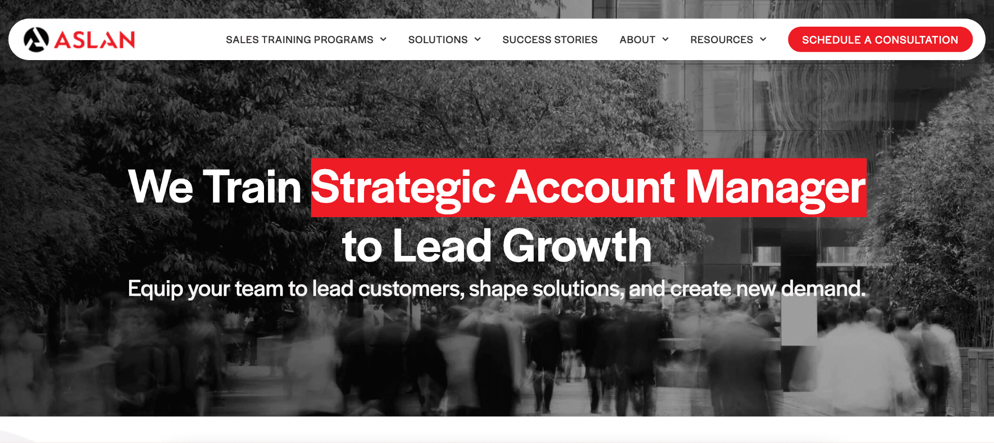 aslan training and development