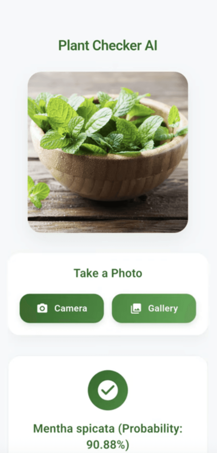 Premium UX Template for Framer