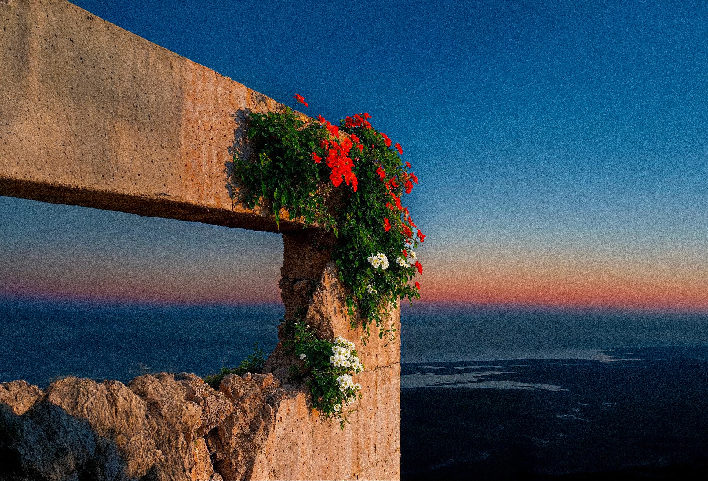 Bellavista aesthetic view