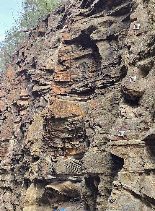 Rock bolts installed at cuttings along the line
