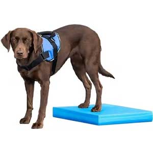 FitPaws Balance Pad