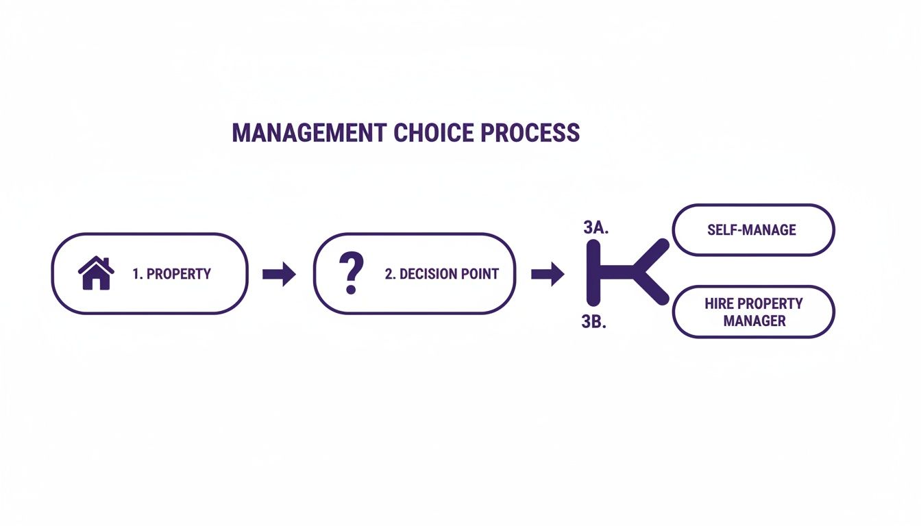 Flowchart illustrating the property management choice process, moving from property to a decision point, then to self-manage or hire a property manager.