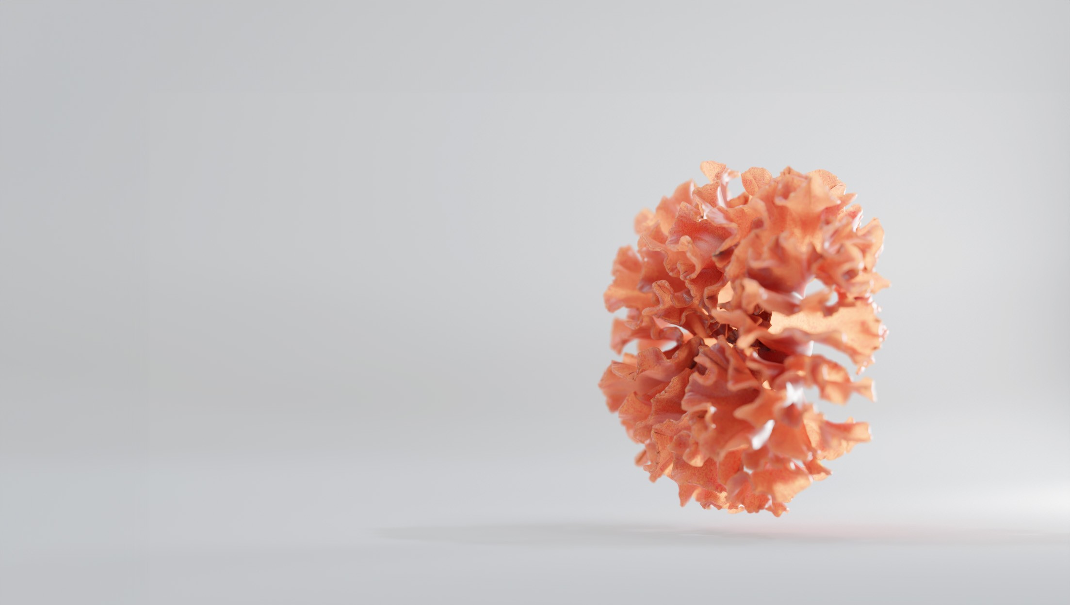 Nils Adamek Landing Page Rendering of a Coral