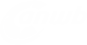 Logo of the ANWB Wegenwacht