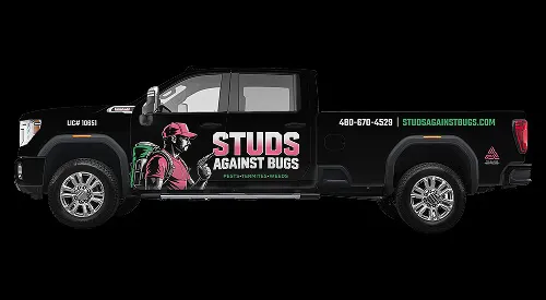 Weeds sprouting with black background and reflection