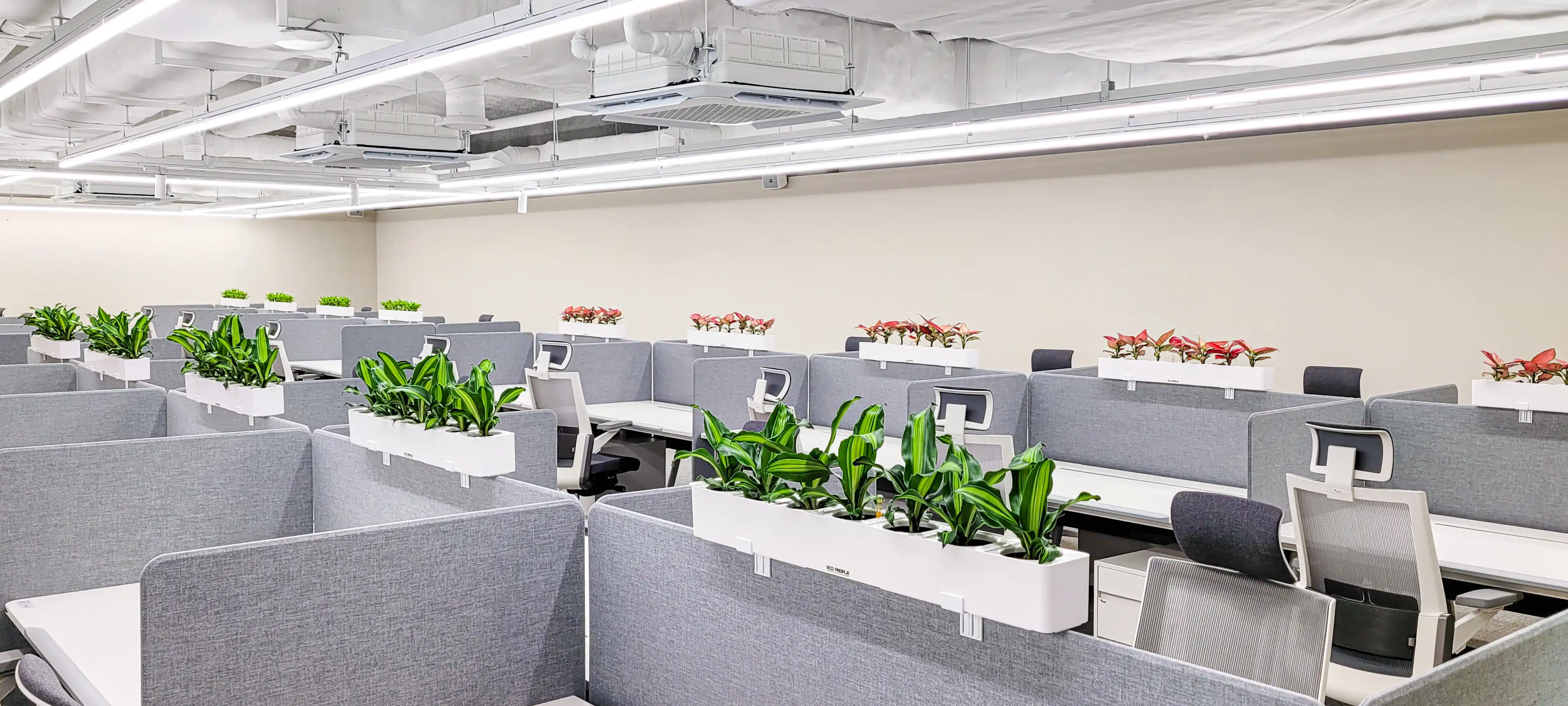 에코피플 플랜테리어 인테리어가 적용된 오피스의 예시이다