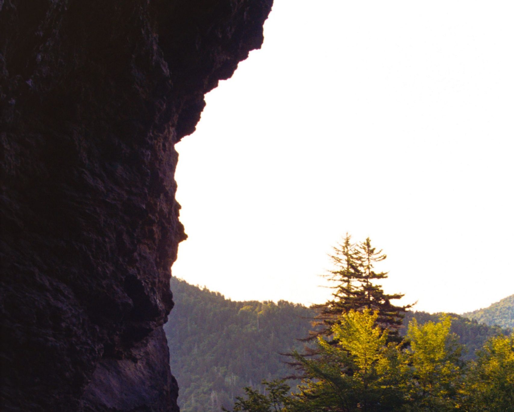 A Photographer’s Guide to the Smoky Mountains