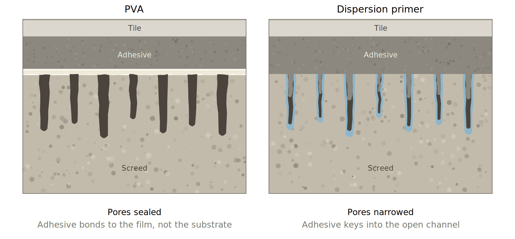 Cross-section comparing PVA with a dispersion primer. Under PVA a continuous film caps the pore mouths and the adhesive rests on it. Under a dispersion primer the pore walls are coated, the channel stays open, and the adhesive penetrates into the pore.