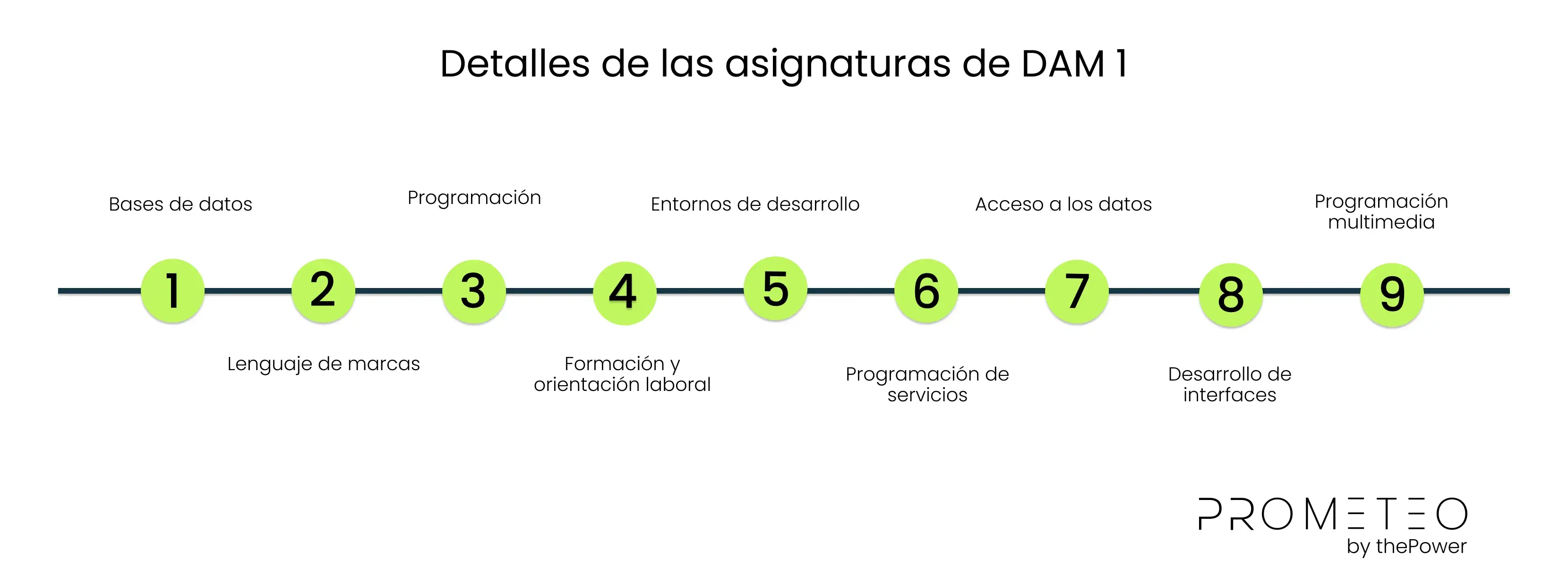 Detalles de las asignaturas de DAM 1