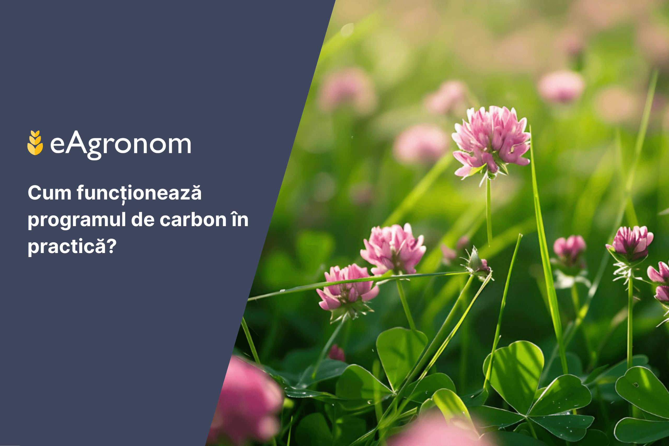 7 pași pentru o fermă profitabilă și prietenoasă cu mediul