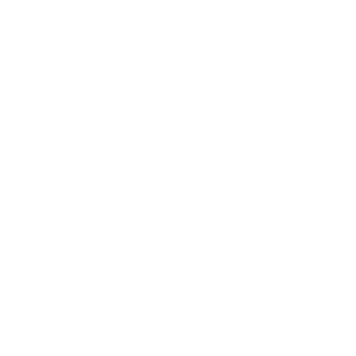 Air Jordans