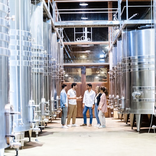 Toledo: vođena tura gradom i vinarijom iz Madrida + degustacija vina u Madridu