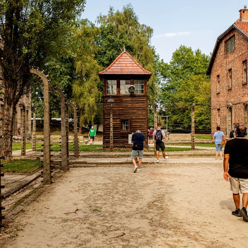 Tour di Auschwitz
