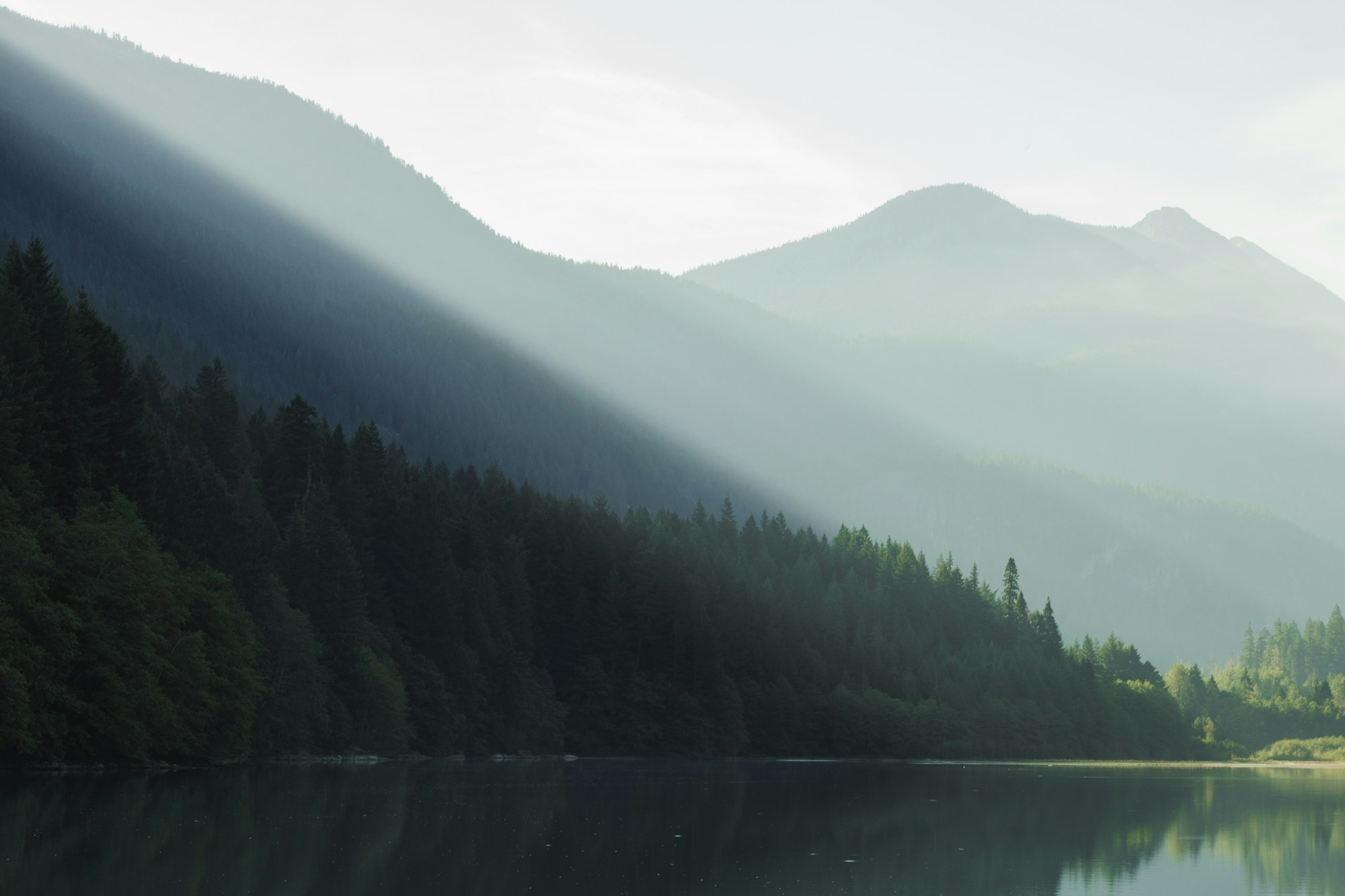 Sunlight falling across Diablo Lake and surrounding forest. Photo by Justin Luebke / Unsplash.