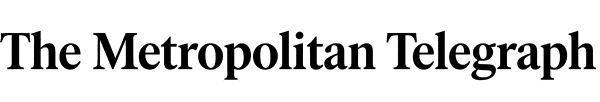 NewsFlash Logo