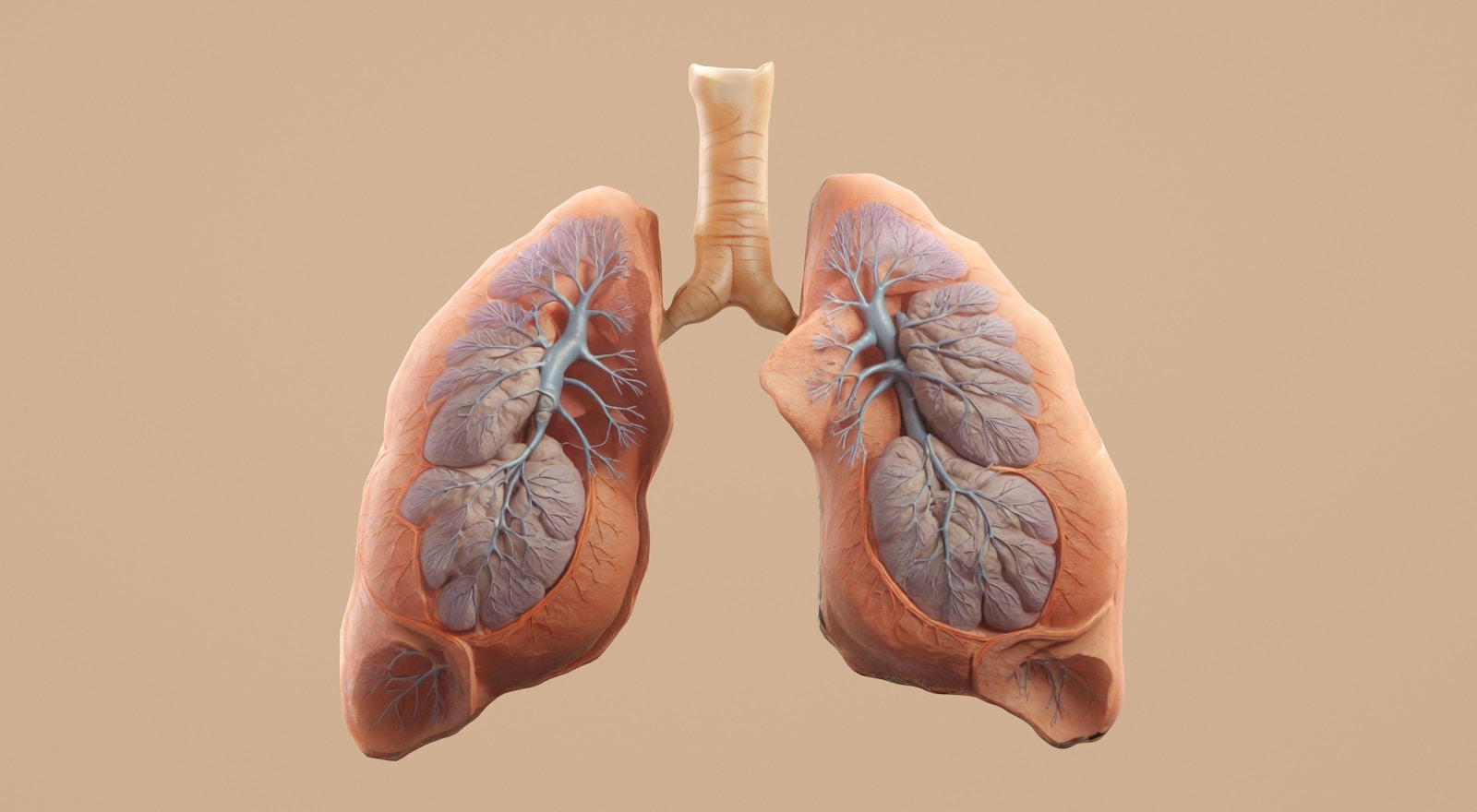Pulmonary Fibrosis Explained: Breathing in a Stiffening World