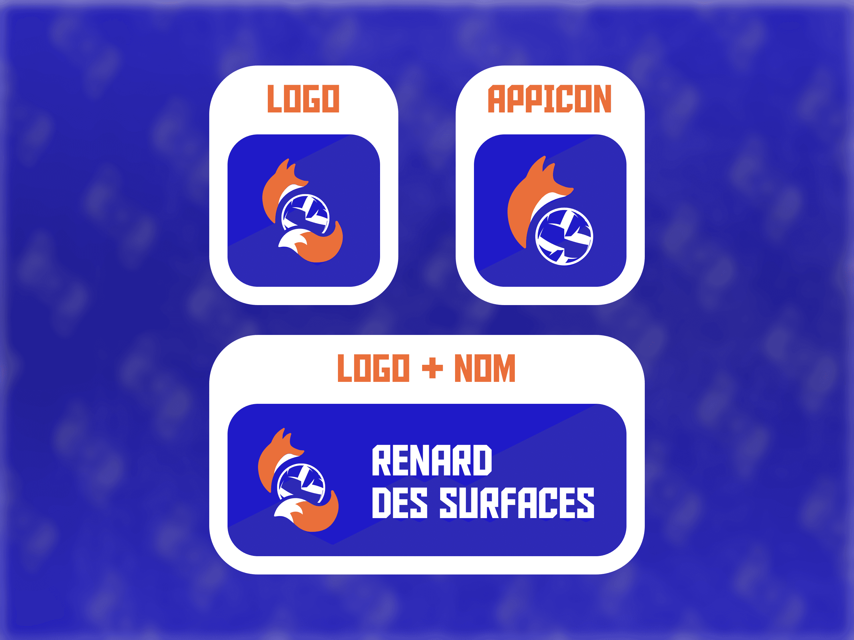 Trois versions du logo de Renard des Surfaces : le logo seul, une version avec l’icône d’application, et une version combinant le logo avec le texte “Renard des Surfaces”.