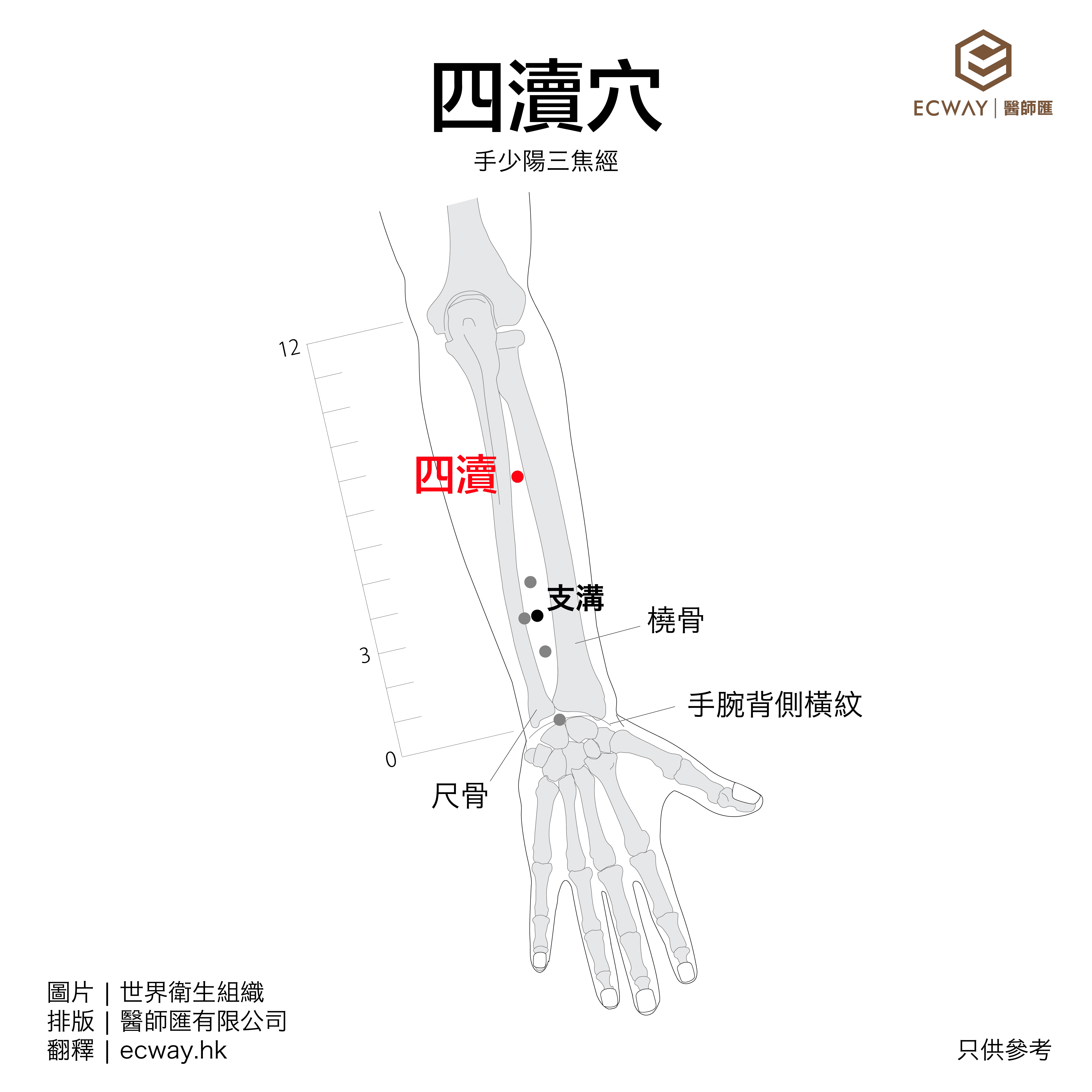 四瀆穴