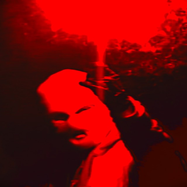 Cover singlu EPIDEMIE LHOSTEJNOSTI od P/\ST, Hentai Corporation