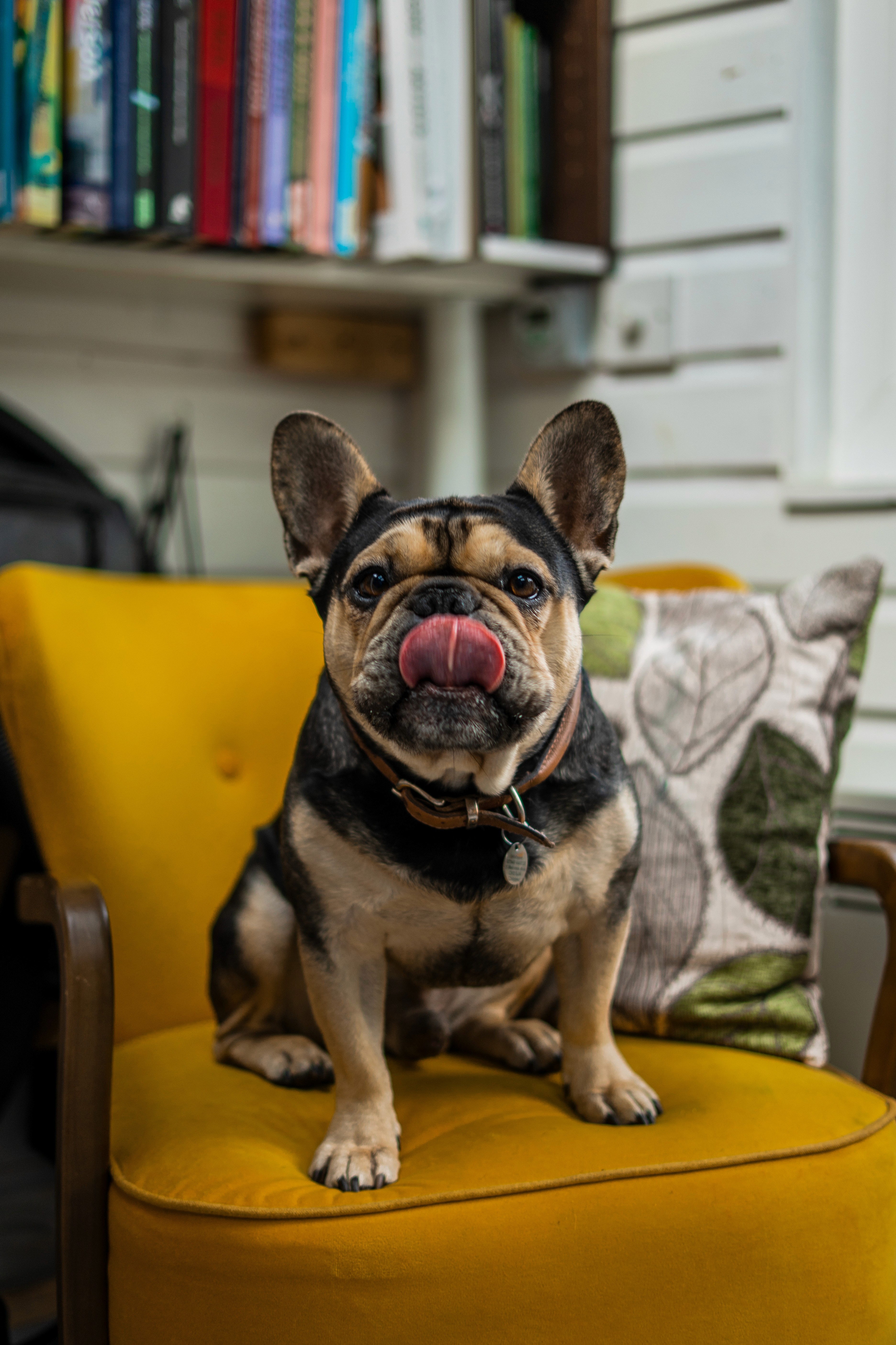 Hands pinning photographs on a white wall