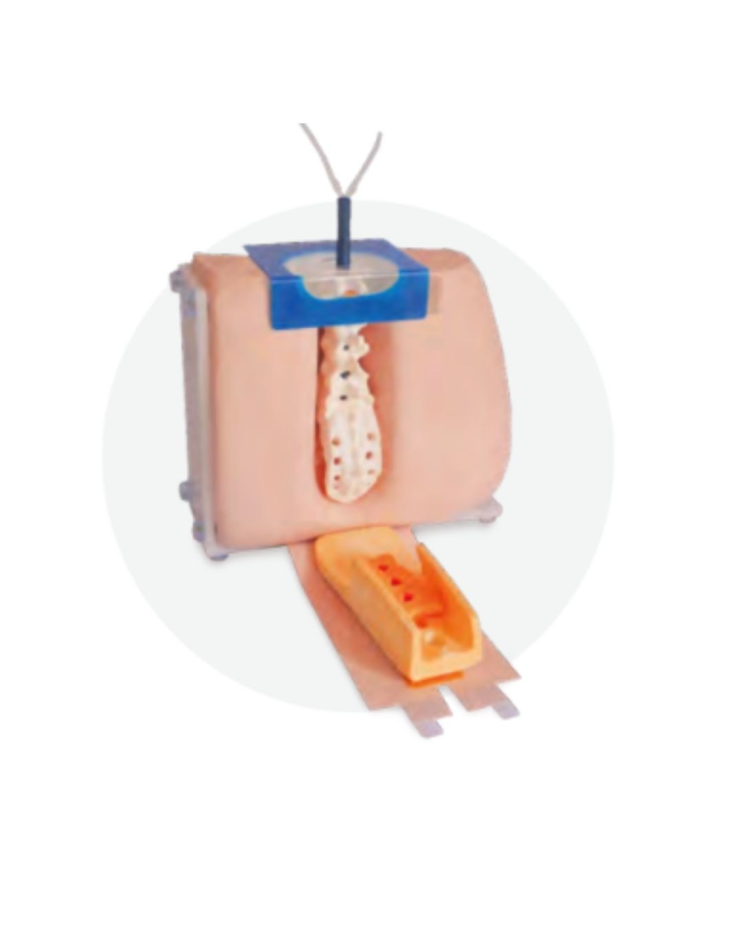 Lumbar Puncture Model