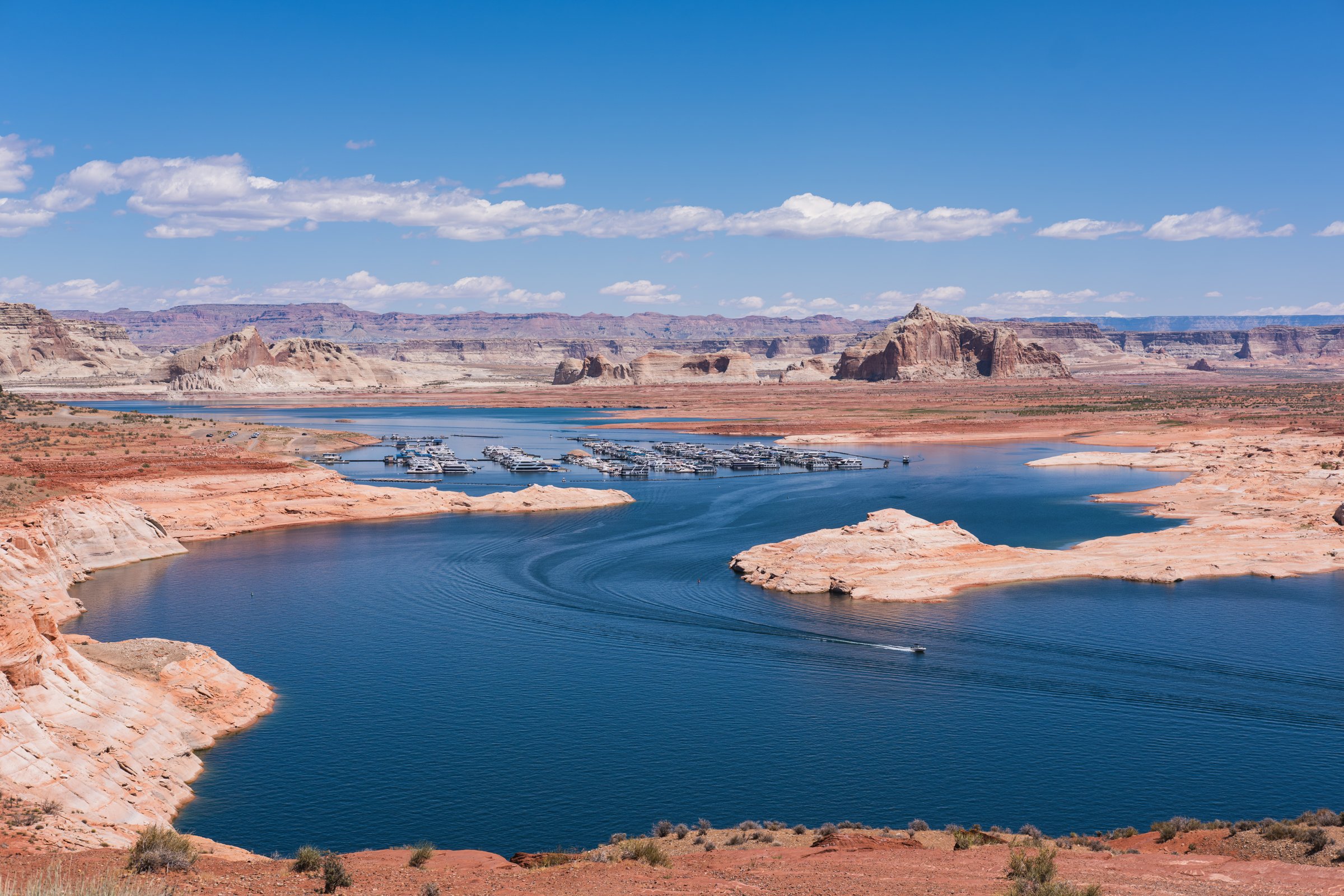 Wahweap Bay on Lake Powell seen from the overlook above the marina, rows of docked boats on deep blue water, bleached pale rock along the low shoreline, and red sandstone buttes and mesas on the horizon.