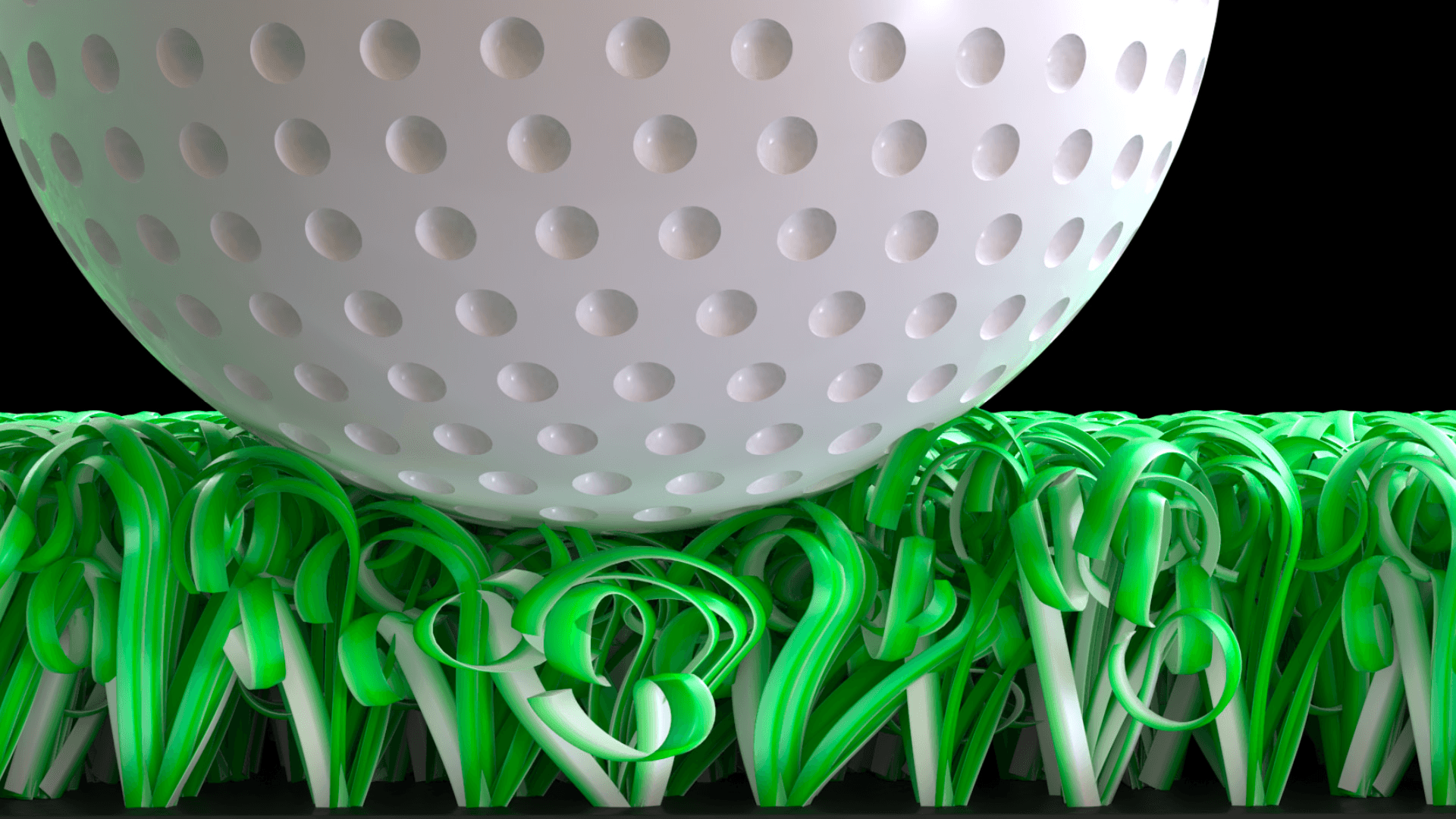 A winding road through a dense pine forest.