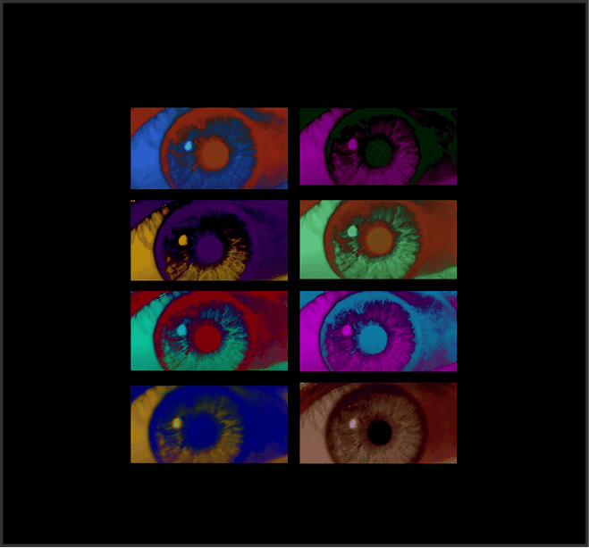 Grid of colorful circular camera lens or record disc illustrations in a pop art style