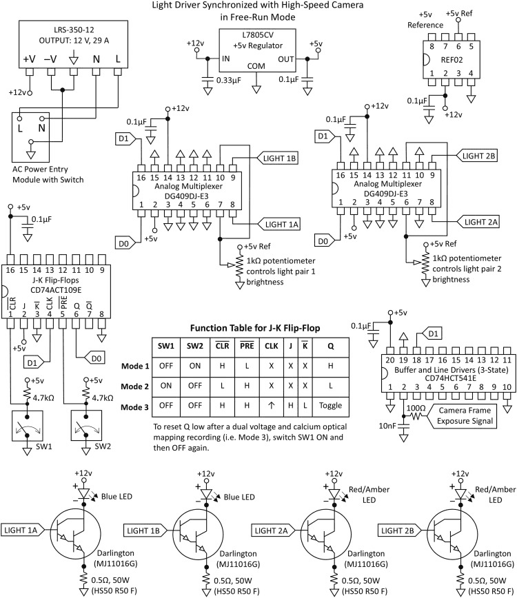 Picture from article