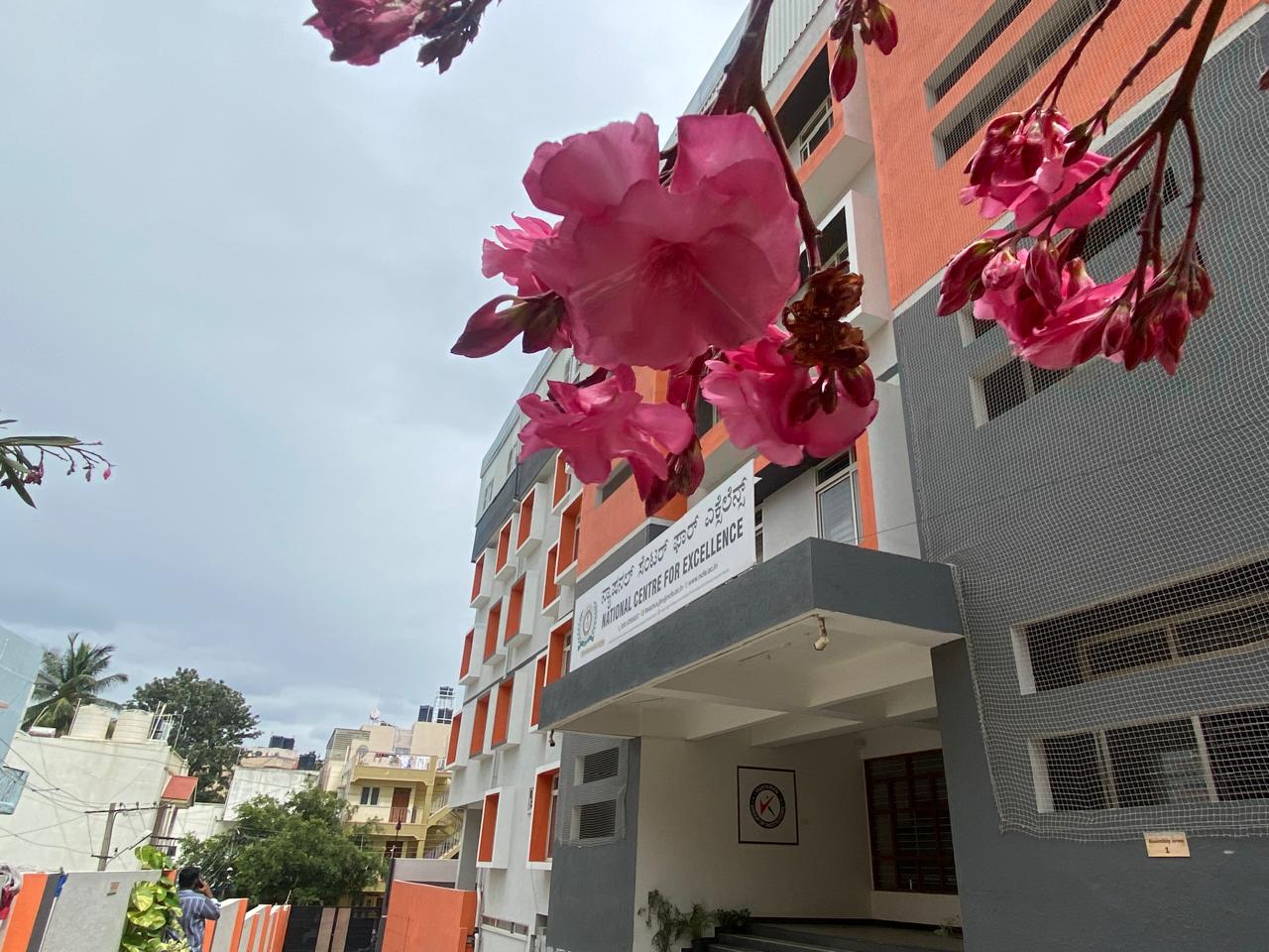 Indiranagar schools