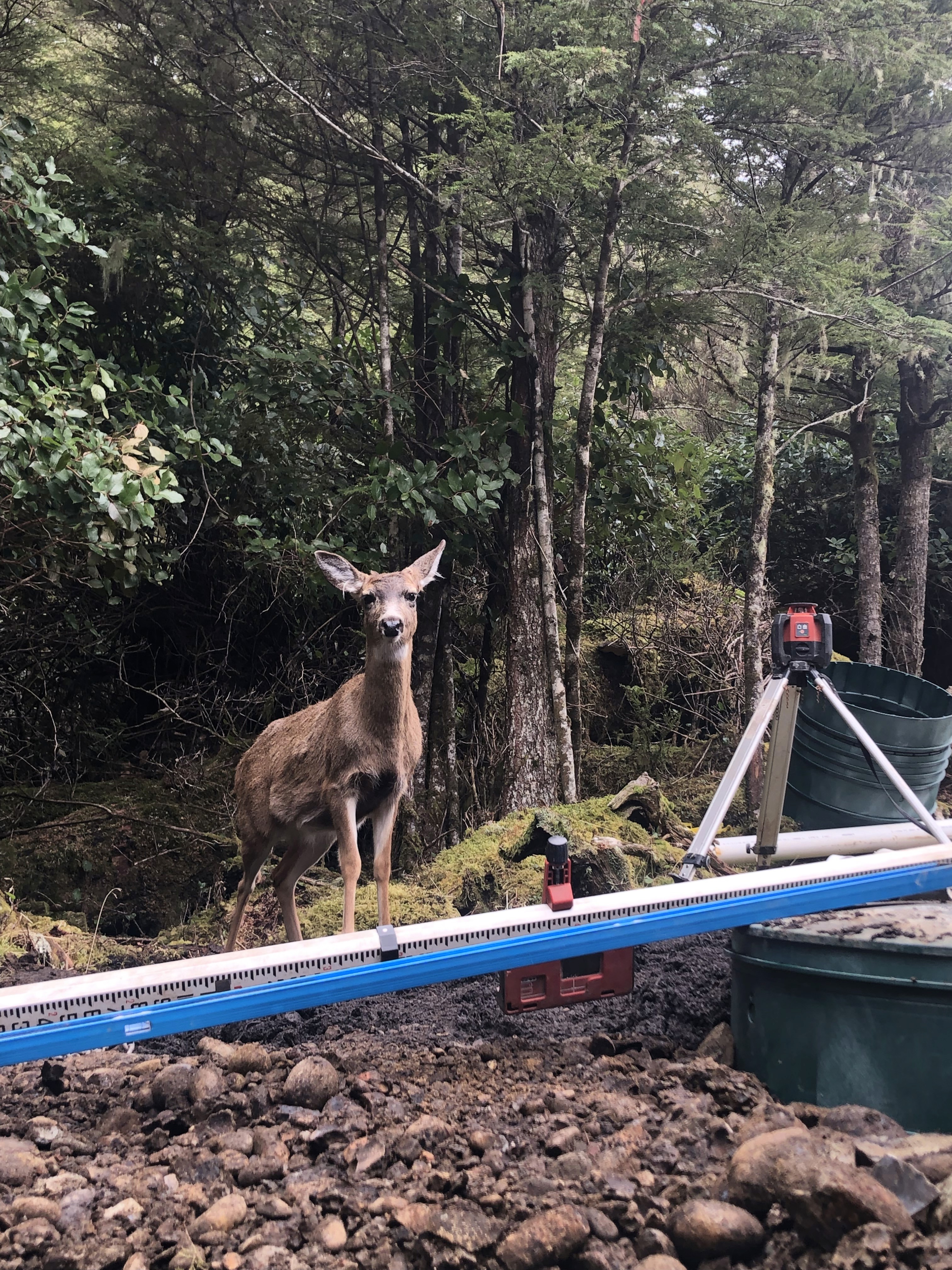 Site Development-Nanaimo BC