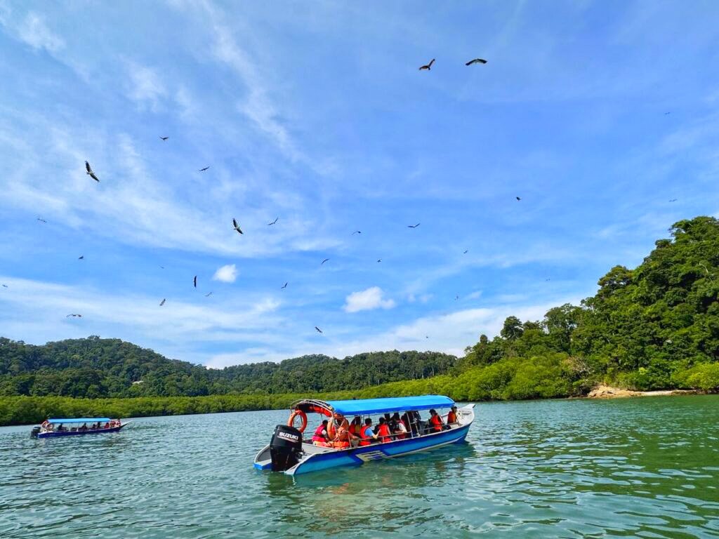 A mangrove tour boat with eagles overhead in the Kilim mangroves