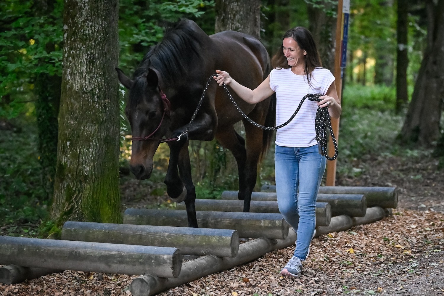 Adriana führt ein Pferd an der Leine über einen Parkour