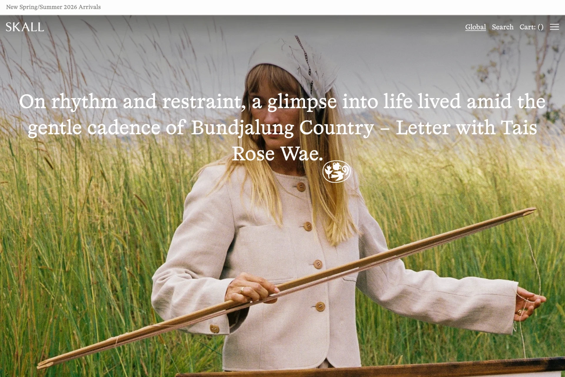 Screenshot of SKALL website