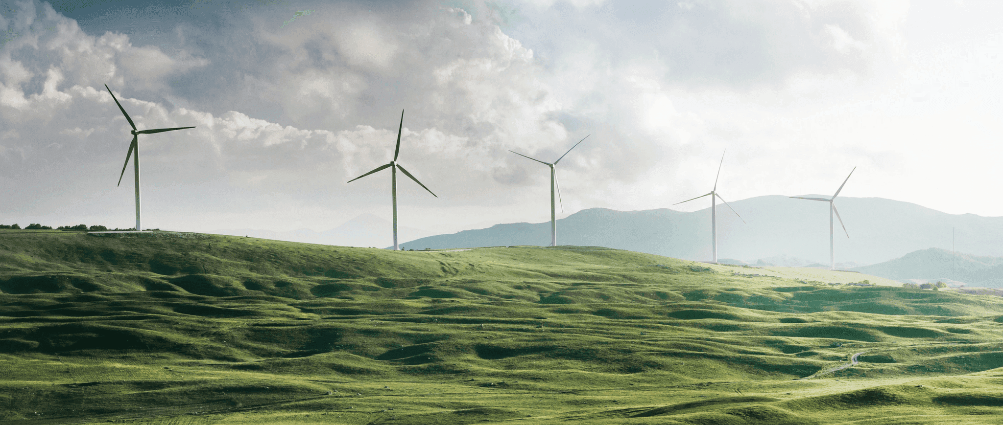 Wind turbines on a rolling green field