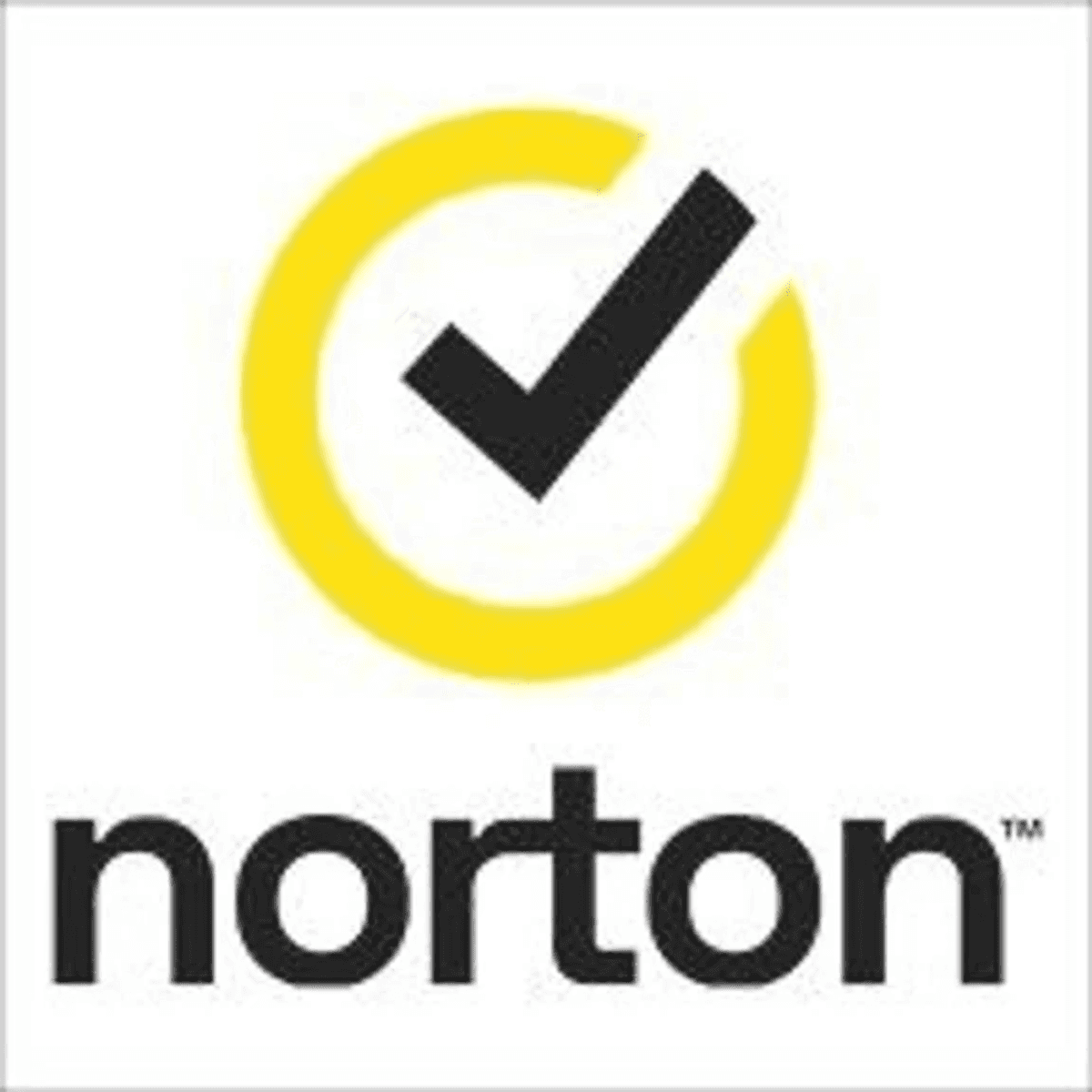 norton 207 logo