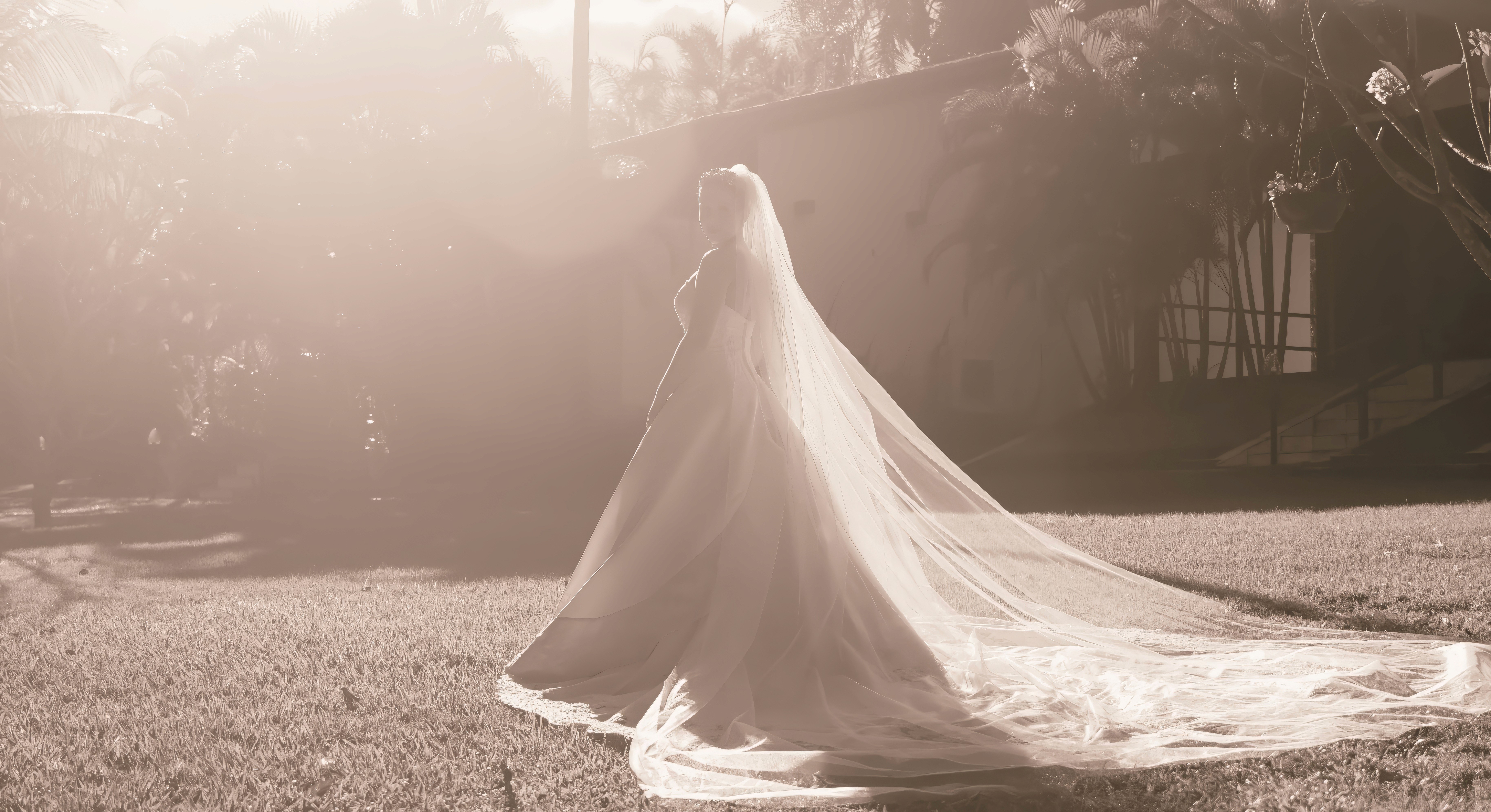 Sienna minimal portrait