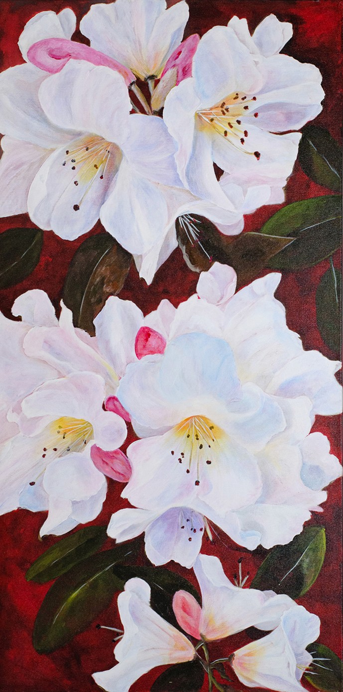 a vertical canvas is filled with white rhododendron flowers on a red background.