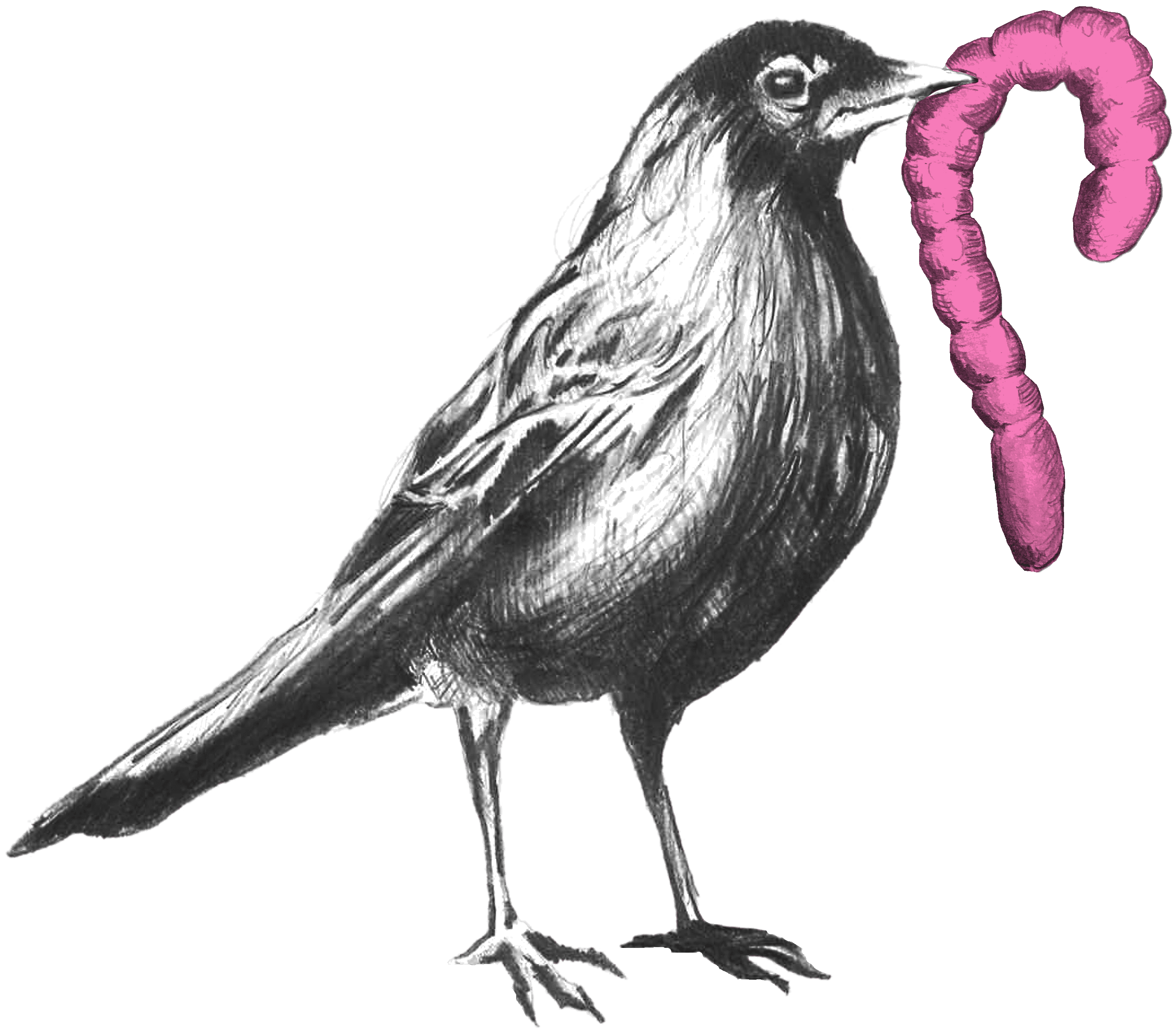 Author of testimonial