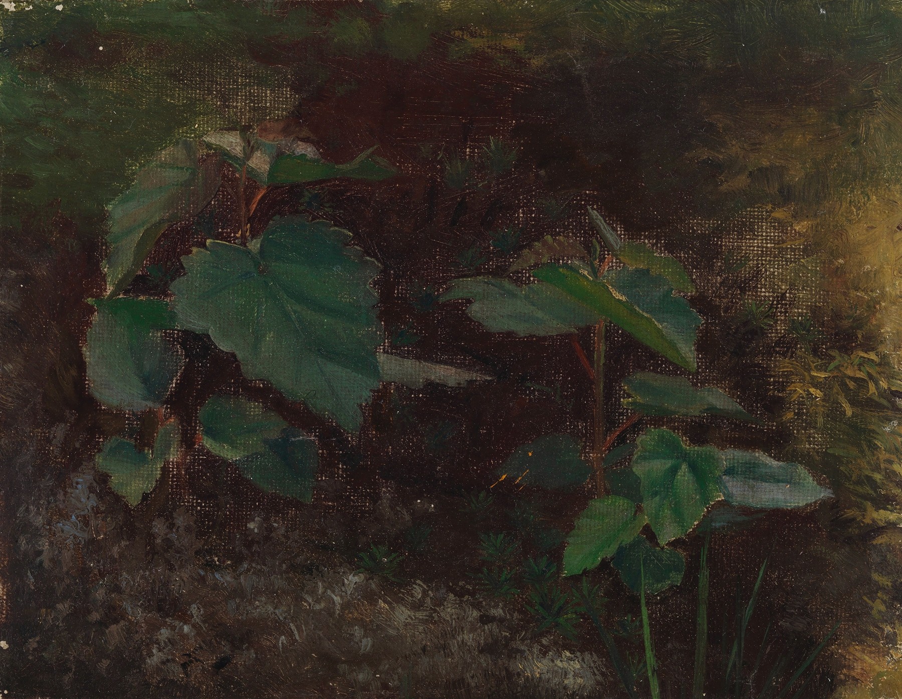 Tree Plants, sketch for the painting Fairy Tale Princess (1895 - 1896)