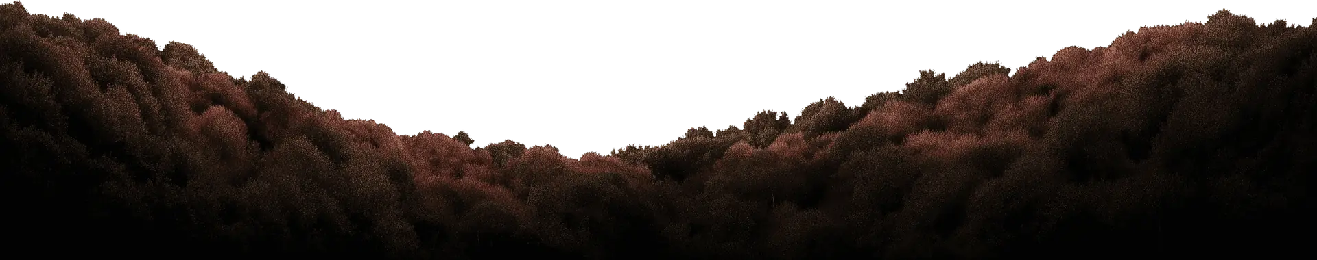 Transparent image of grass hills