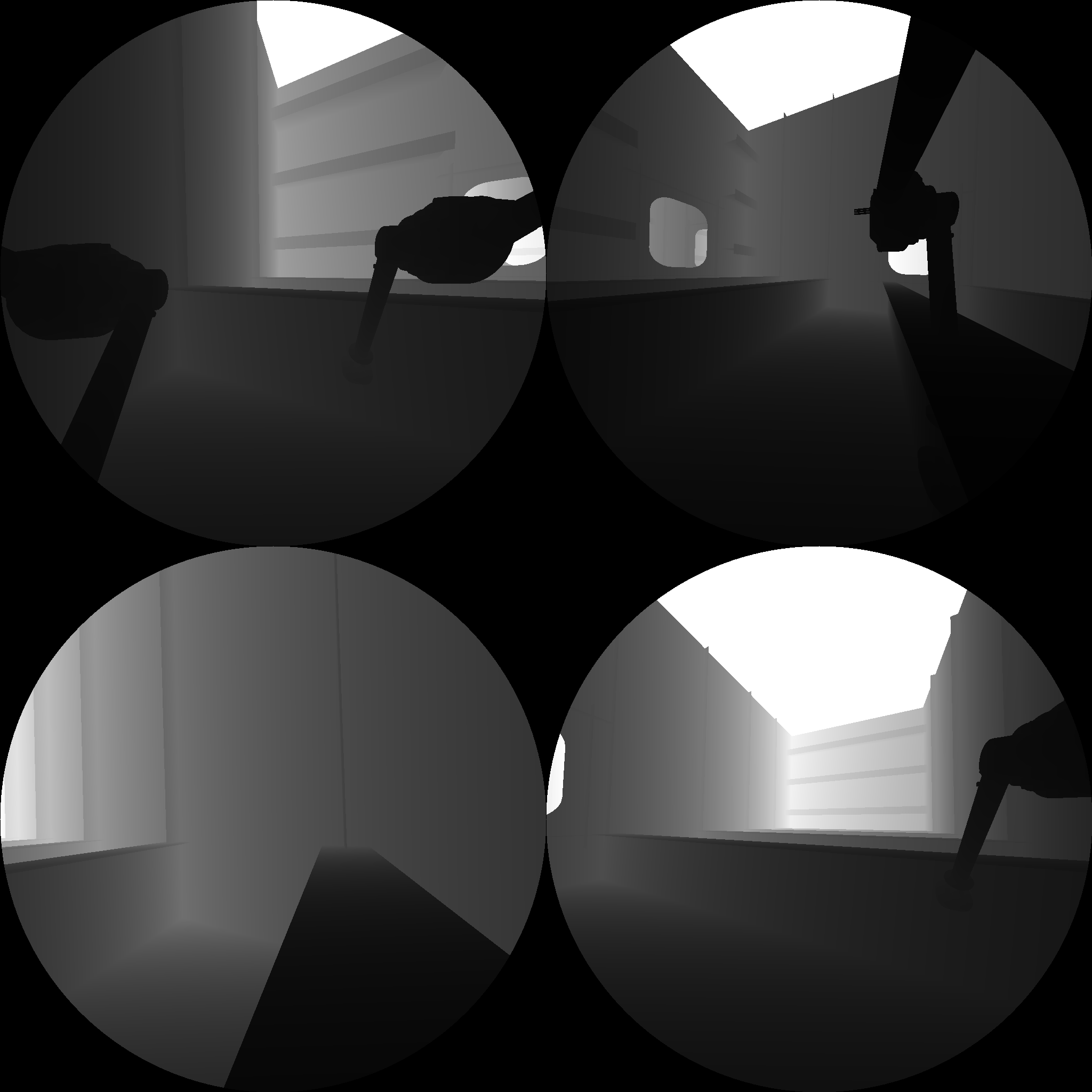 What the robot’s depth camera sees. Brightness encodes distance information