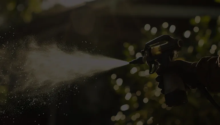 Weed control spraying the grass to kill weeds