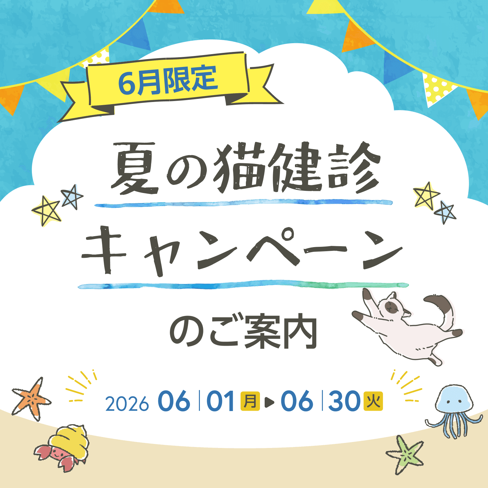 6月限定・夏の健康診断キャンペーン（猫の健康診断）