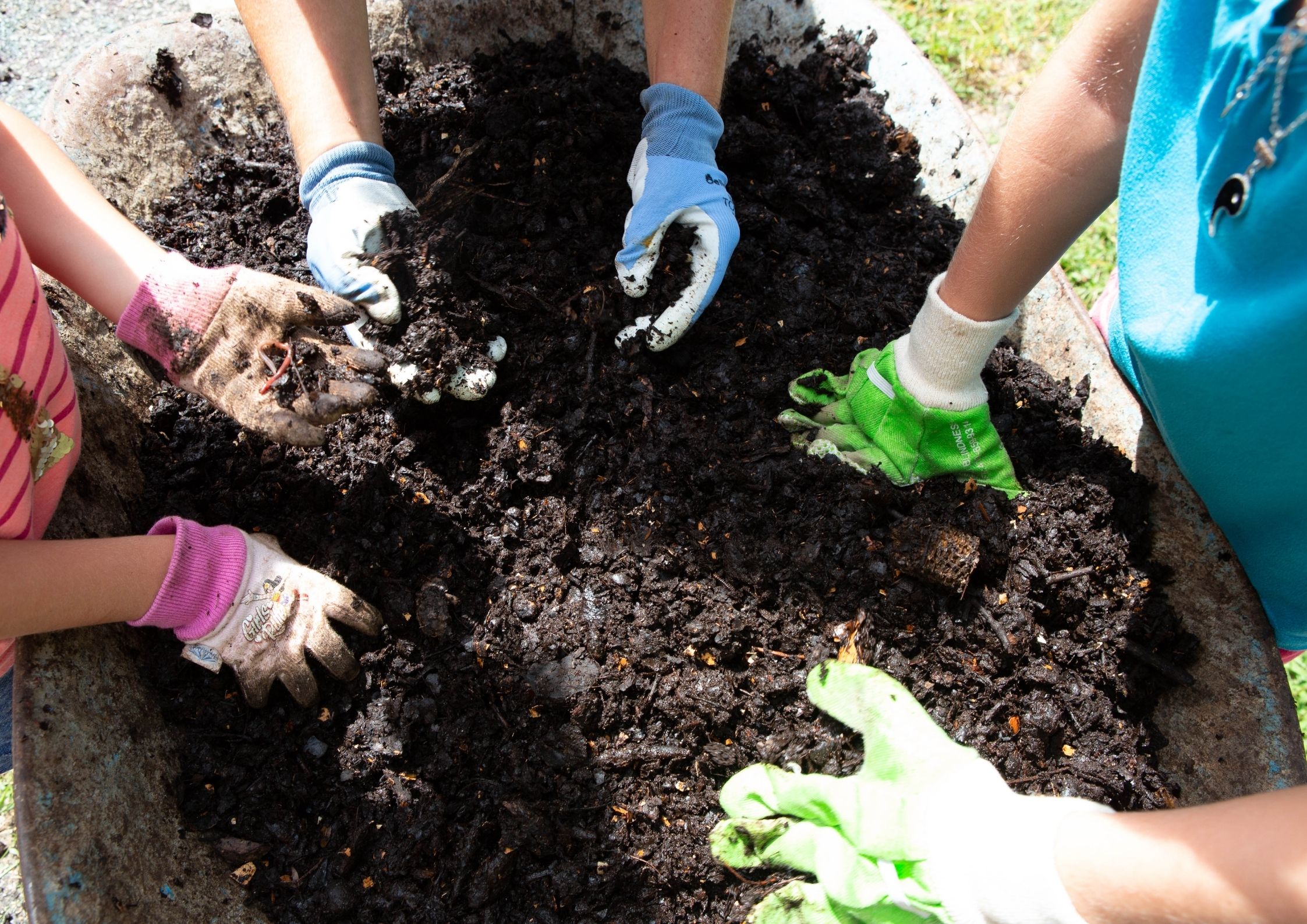 Tareas de jardinería y plantación en octubre