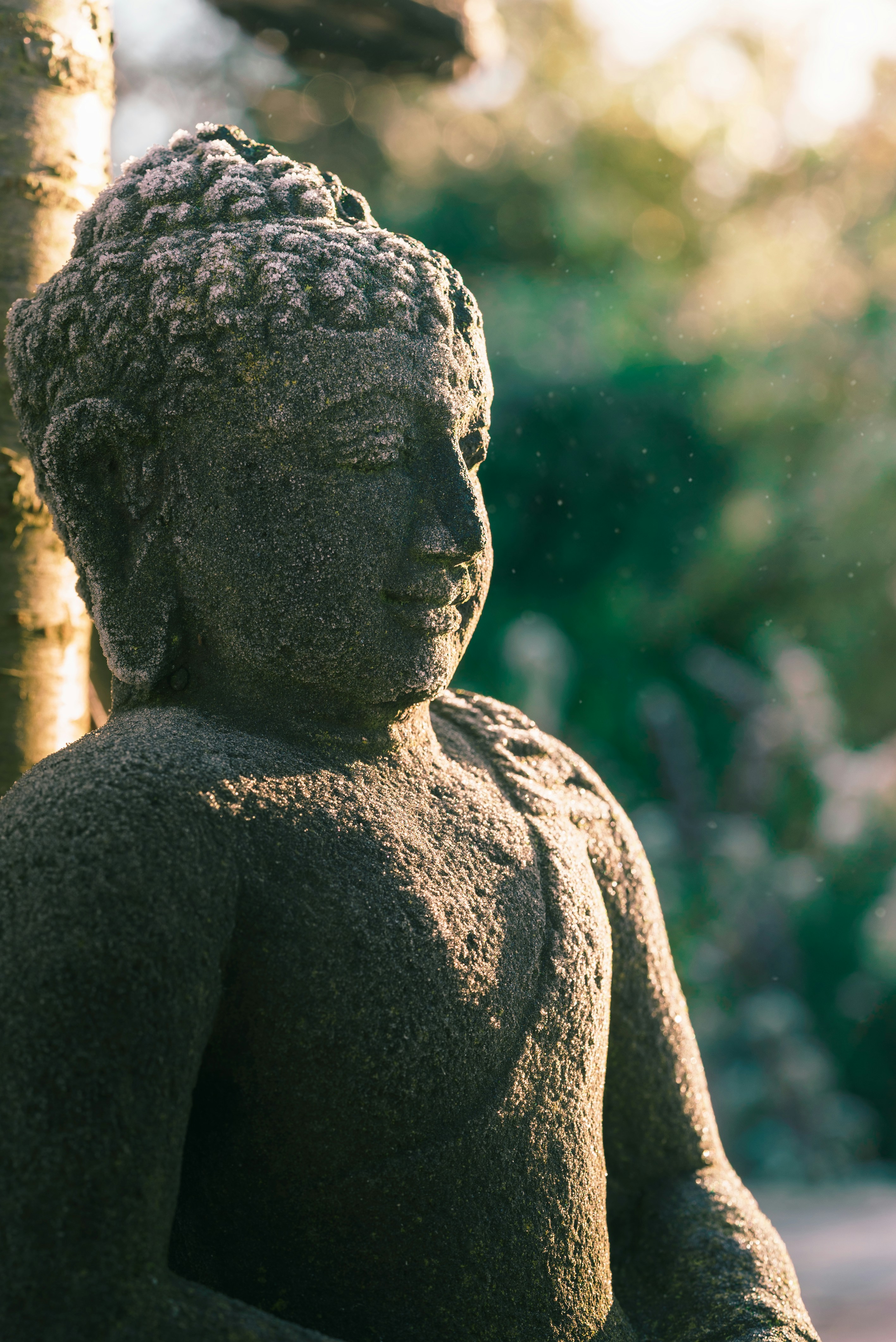 Buddha Statue