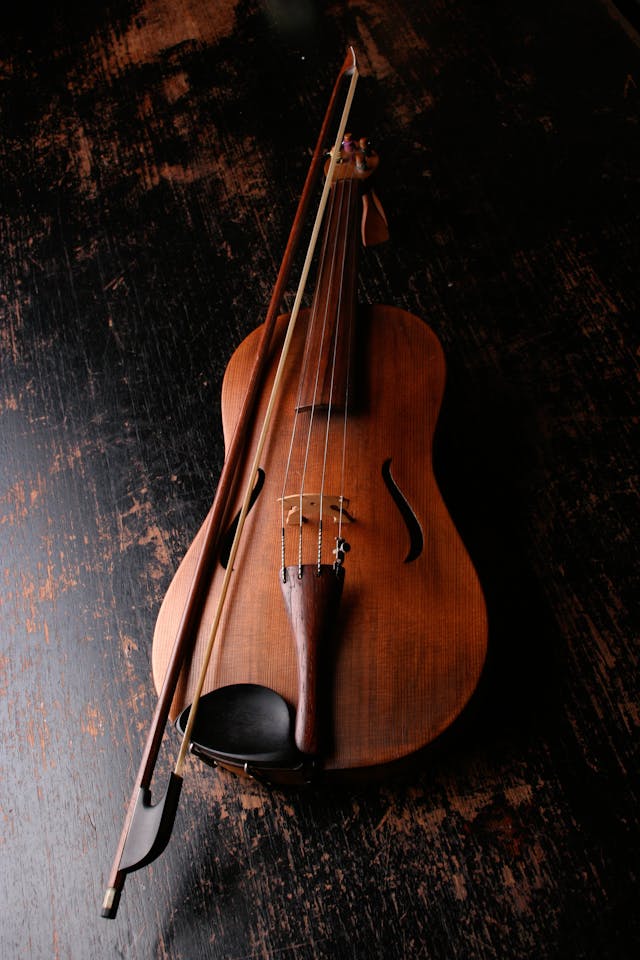 Violin