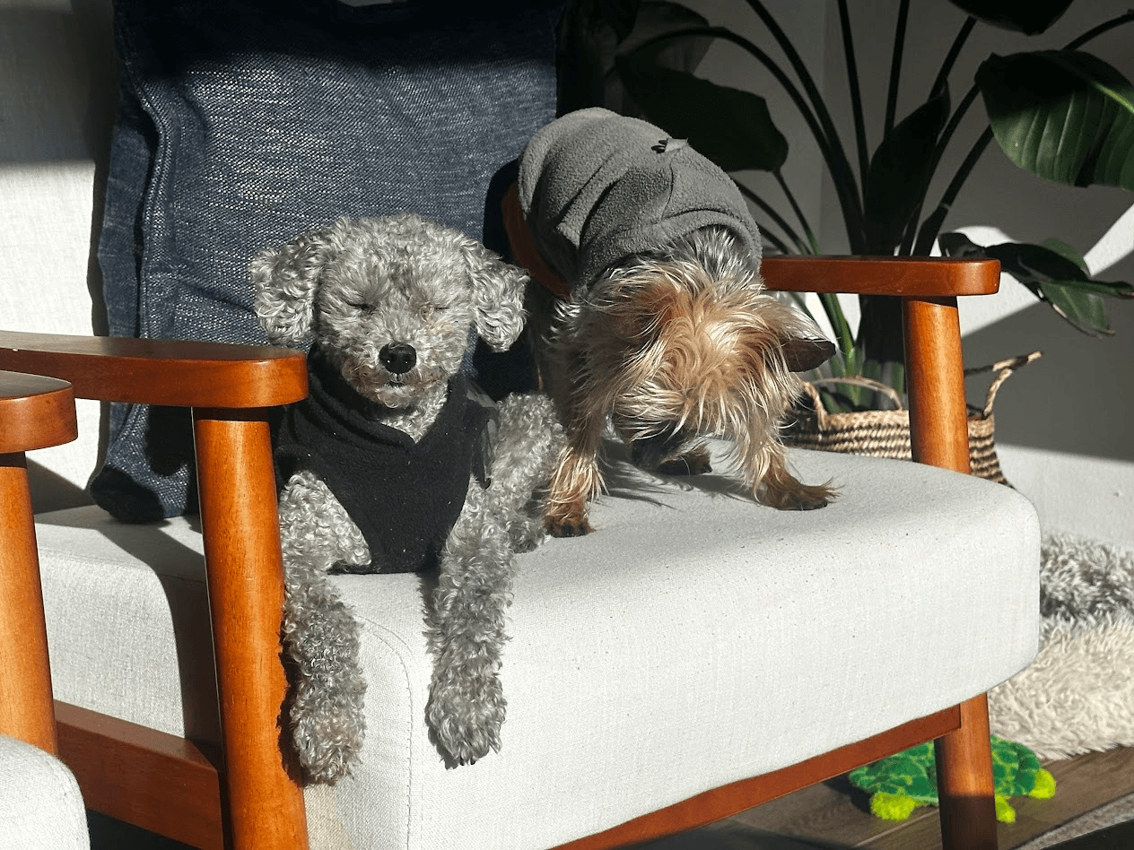 Man Wearing Sunglasses